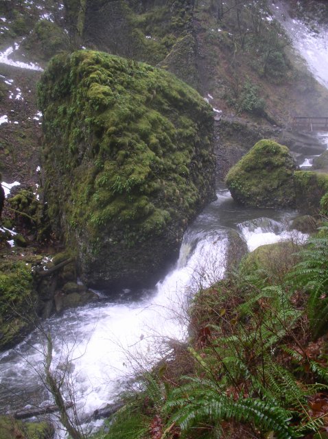 12.23.05 Elowah Falls 032 